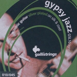 string set acoustic, silk & steel roundwound, light, 010-014-022-028-037-045