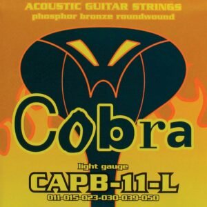 string set acoustic, phosphor bronze wound light, 011-015-023-030-039-050