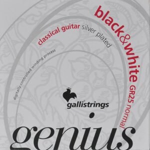 string set classic, black trebles and silverplated basses, normal tension, 028-032-040-029-037-044