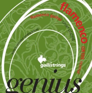 string set flamenco, black trebles and silverplated basses, normal tension, 028-032-040-029-034-044