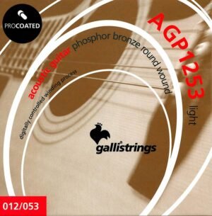 string set acoustic, phosphor bronze wound, light, 012-053