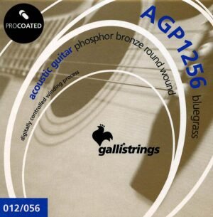 string set acoustic, phosphor bronze wound, bluegrass, 012-056
