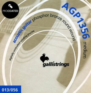 string set acoustic, phosphor bronze wound, medium, 013-056