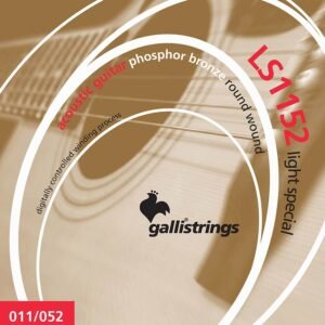 string set acoustic phosphor bronze wound, light special, 011-015-024-032-042-052