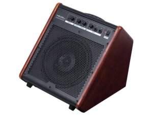 drum monitor, 35 Ws, 2 inputs