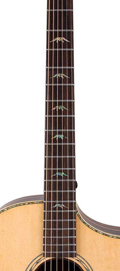 concert guitar all solid tonewoods, amara eb back & sides & fb, Fishman, natural, heavy duty bag - Afbeelding 12