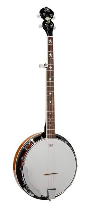 5 string banjo, vintage sunburst glossy, with bag