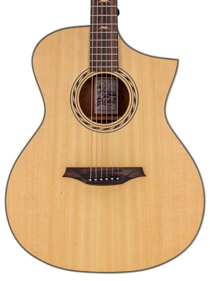 Hillside auditorium guitar, spruce top, mahogany back & sides, amara ebony fb, natural - Afbeelding 6