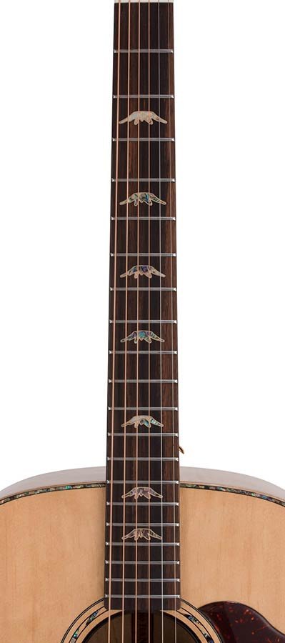 jumbo guitar with solid spruce top, maple b&s, amara ebony fb, with deluxe gigbag and wooden stand - Afbeelding 12