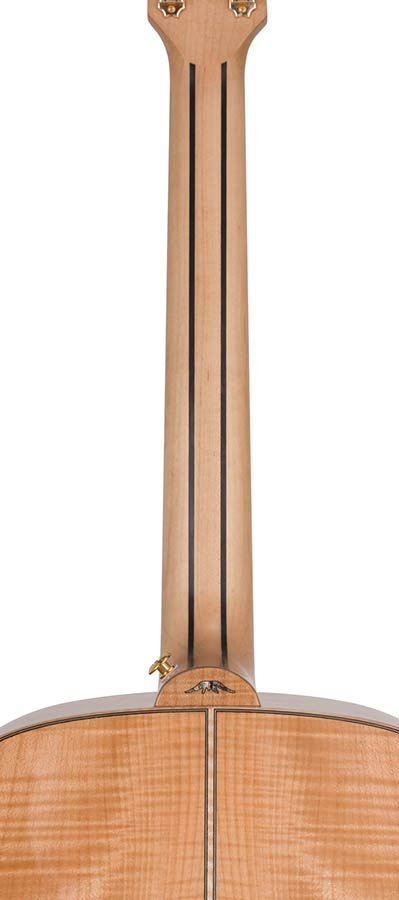 jumbo guitar with solid spruce top, maple b&s, amara ebony fb, with deluxe gigbag and wooden stand - Afbeelding 13