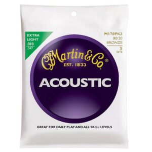 Snaren Akoestische gitaren