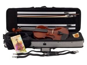 violin outfit 1/16, all solid, European flamed maple, ebony fittings, oblong case, bow