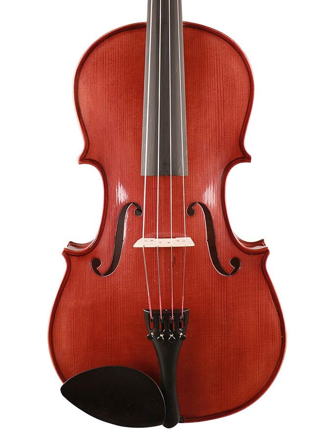 viola outfit 16.0" (40.5cm), all solid, flamed, ebony fittings, finetuner tailpiece, case, bow - Afbeelding 2