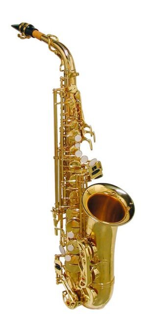 alto sax, Pisoni pads, yellow brass lacquer, with soft case