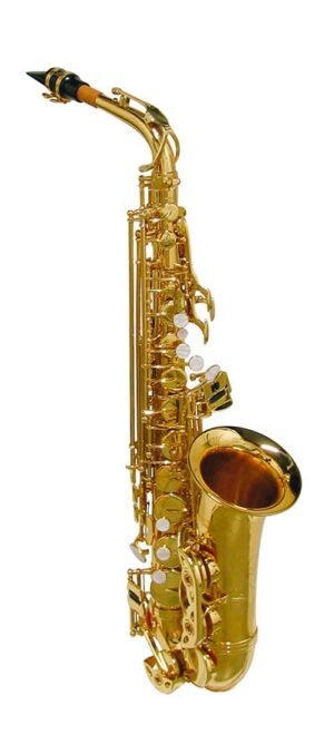 alto sax, yellow brass lacquer, with soft case