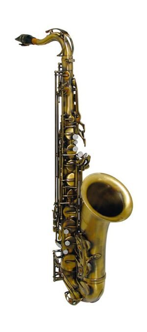 tenor sax, Pisoni pads, antique light bronze, with soft case