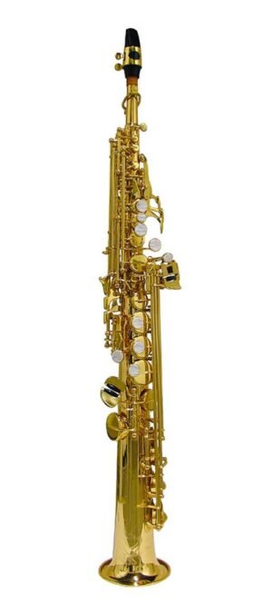 soprano sax, Pisoni pads, yellow brass lacquer, with soft case