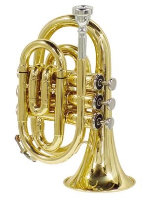 pocket trumpet, monel valves, yellow brass lacquer, with soft case