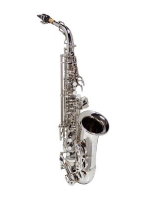 alto sax, Pisoni pads, silver plated, with soft case