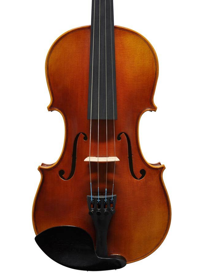 violin outfit 4/4, ebony fingerboard, ebony fitting, case and bow, setup included