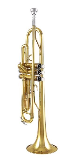 trumpet, gold lacquer, 7C mouthpiece, with case