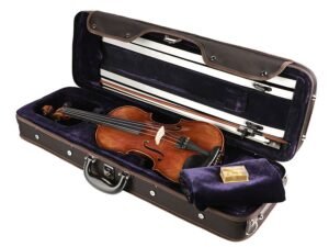violin outfit 4/4, antique varnish, well flamed, ebony fittings, bow, luxe oblong case