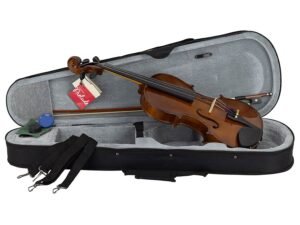 violin outfit 1/8 ready to play, all solid, ebonised hardwood fittings, incl. bow and case