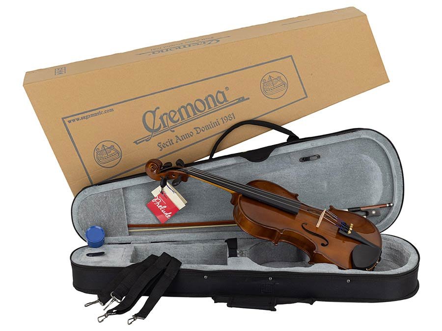 violin outfit 4/4 ready to play, all solid, ebony fittings, incl. bow and case - Afbeelding 8