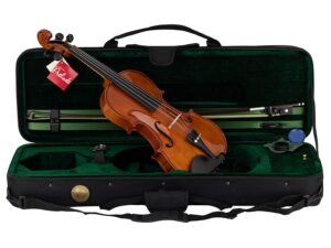 violin outfit 4/4 ready to play, all solid, flamed maple back, ebony fittings, incl. bow and case