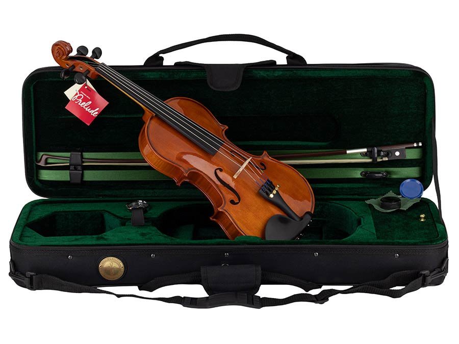 violin outfit 4/4 ready to play, all solid, flamed maple back, ebony fittings, incl. bow and case