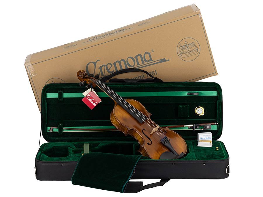 violin outfit 4/4 ready to play, well flamed maple, ebony fittings, incl. bow and case - Afbeelding 8